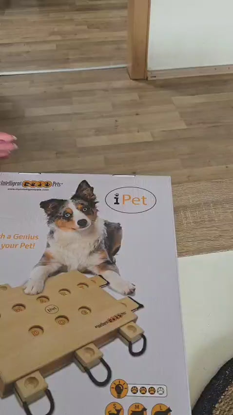 iPet – Smart Dog Intelligenzspielzeug