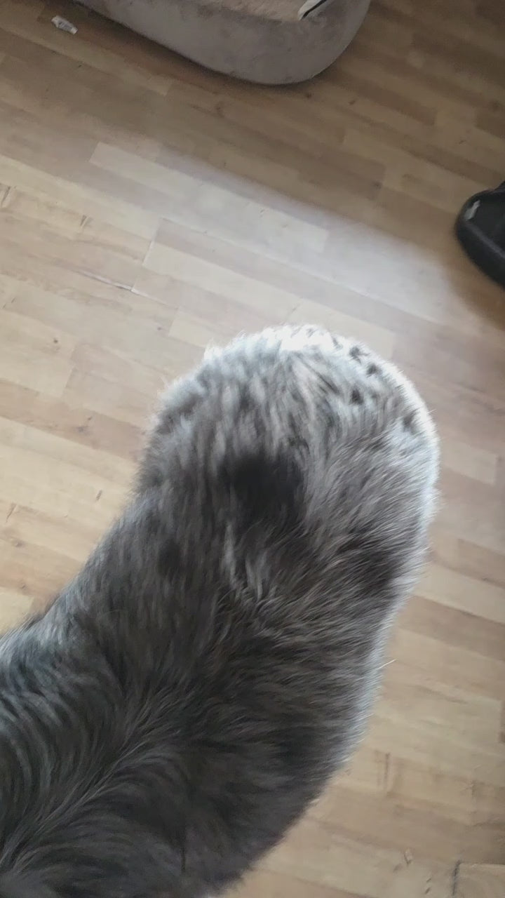 Happy Roll – Interaktiver Leckerli-Spender für Hunde – Intelligenzspielzeug