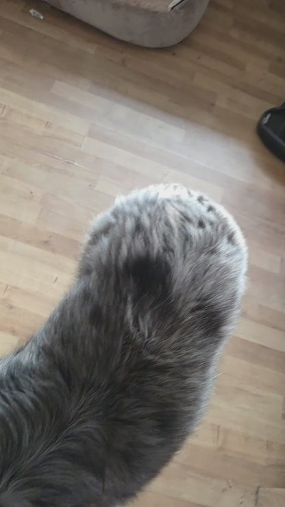 Happy Roll – Interaktiver Leckerli-Spender für Hunde – Intelligenzspielzeug