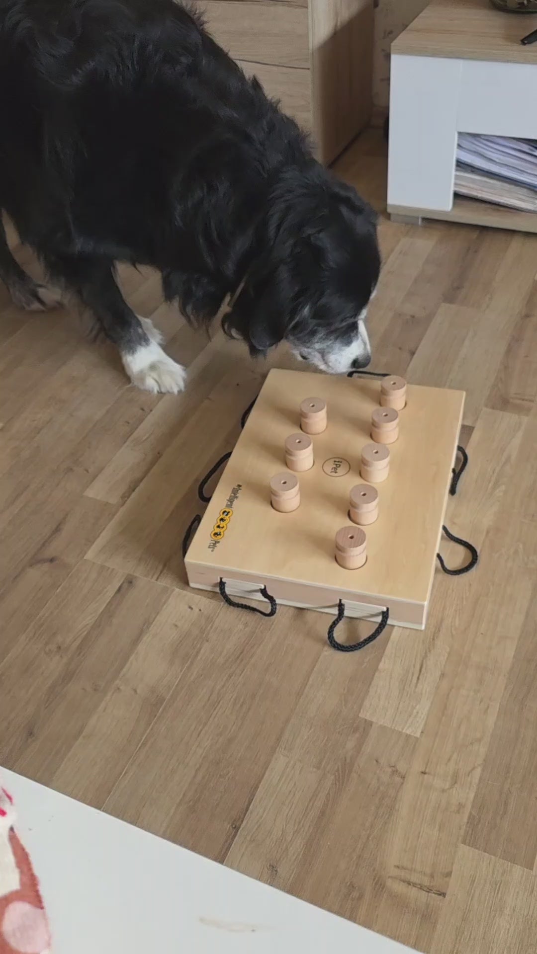 iPet – Smart Dog Intelligenzspielzeug