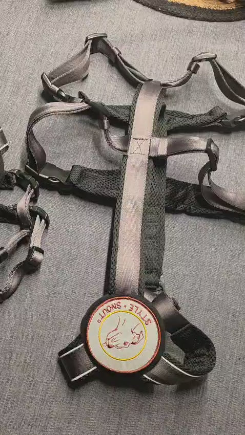 StyleSnout® Patch&amp;Safe Sicherheitsgeschirr – ausbruchsicher &amp; gepolstert