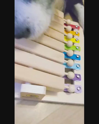 Intelligenzspielzeug-Set „Glücksrad, Piano &amp; Happy Roll“ – 3 Level für schlaue Hunde