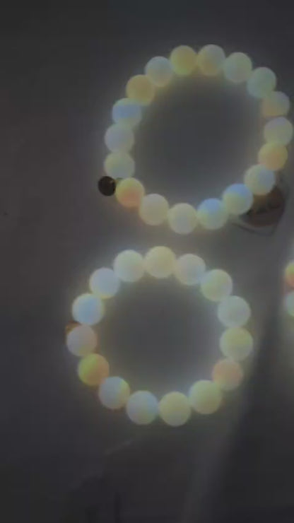 Leuchtkette Pfirsich für Hunde – handgefertigt &amp; ohne Strom