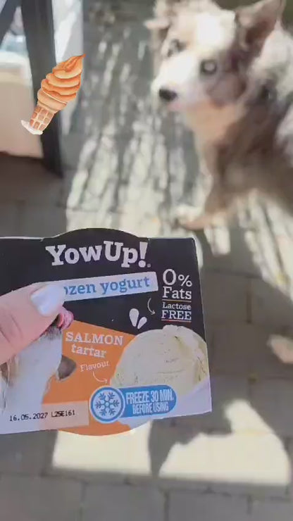 YowUp! Frozen Yoghurt - Hot Dog &amp; Cheese