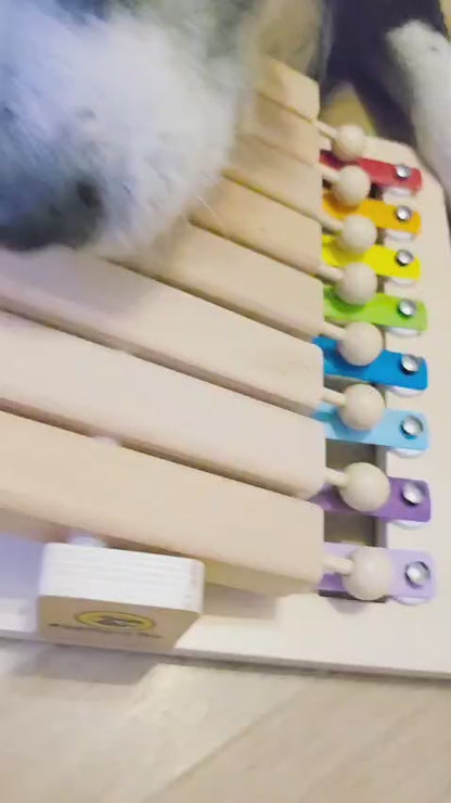 Piano - Interaktives Haustierspielzeug des Jahres Intelligenzspielzeug
