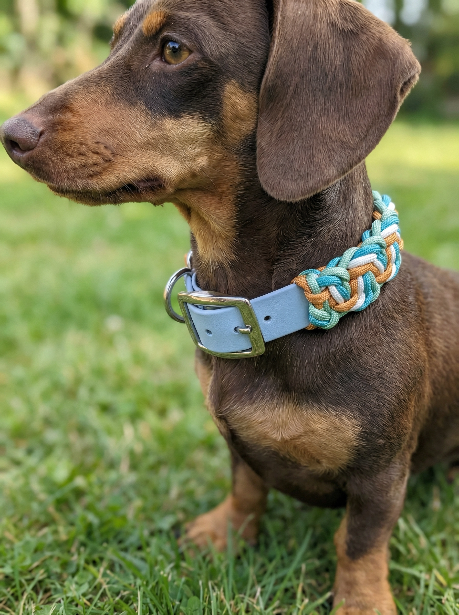 Handgemachtes Paracord-Hundehalsband "Coppermint"