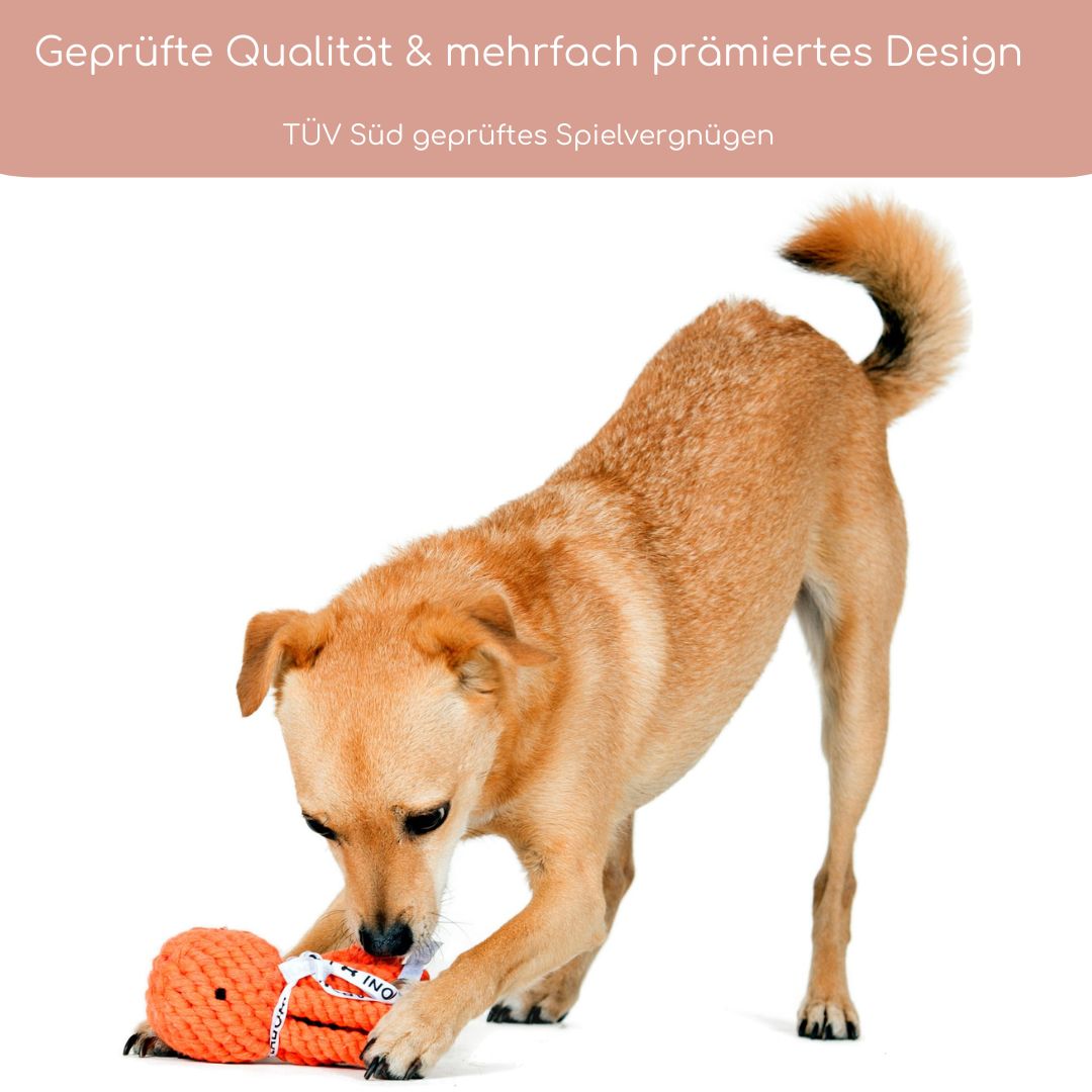 Thaddäus Tintenfisch – Handgeknüpftes Hundespielzeug aus Baumwolle