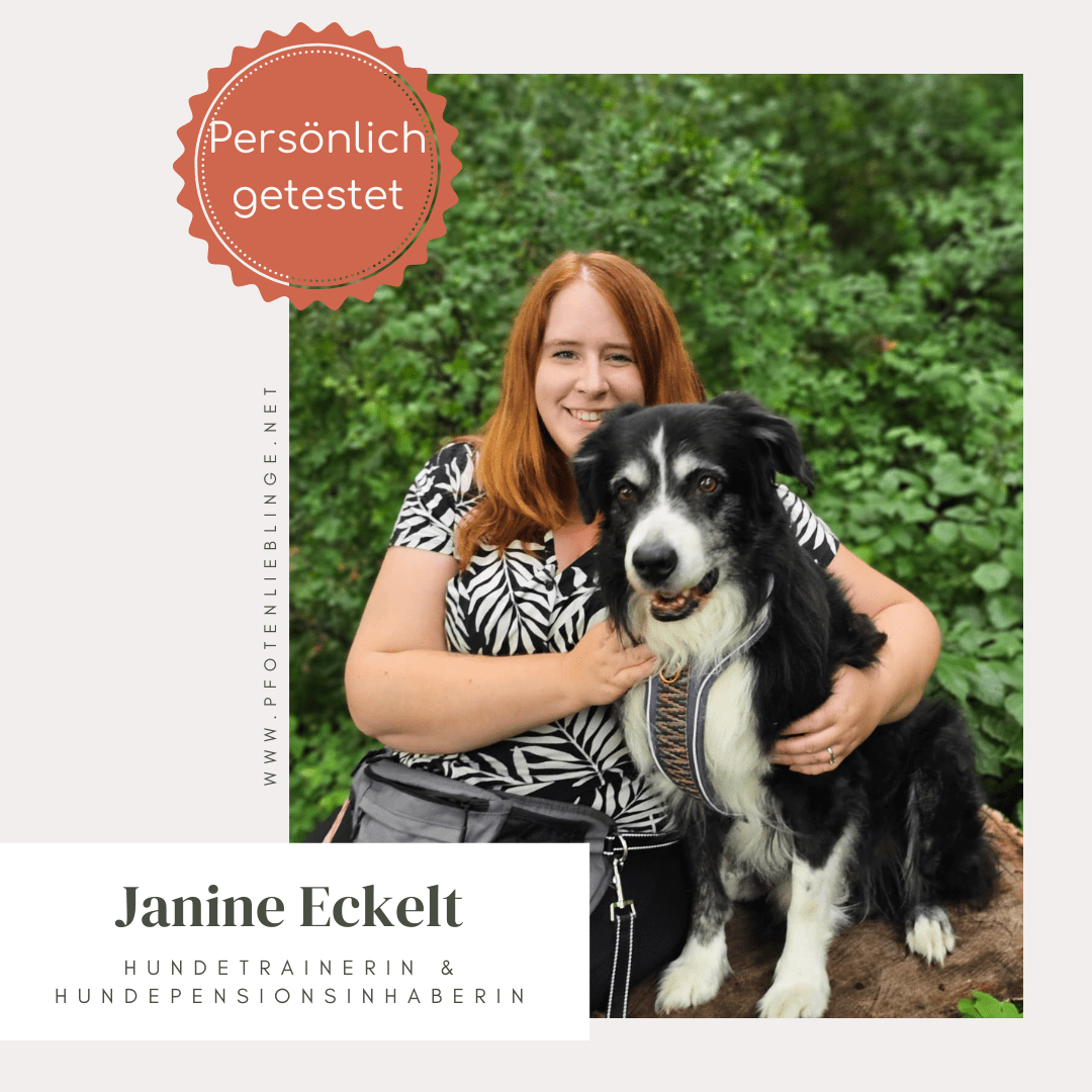 Reflektor - Halsband Cappuccino – vegan &amp; handgemacht - Pfotenlieblinge