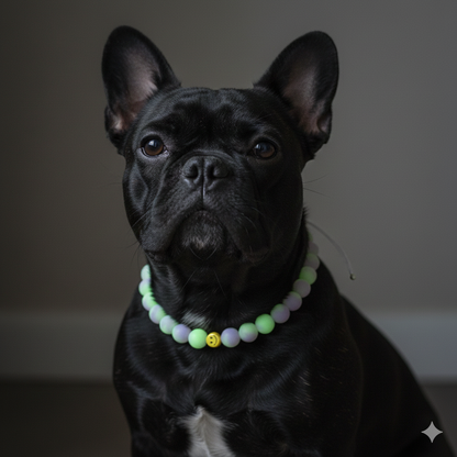 Leuchtkette GLOWIE Smile Shine für Hunde – handgefertigt &amp; ohne Strom