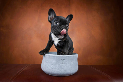 ROCKY Naturstein - Napf – selbstkühlend, stilvoll &amp; massiv - Pfotenlieblinge