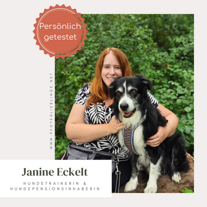 Reflektor-Halsband Cappuccino – vegan &amp; handgemacht