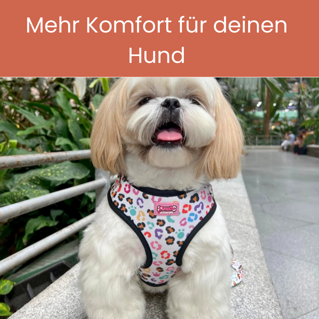Verstellbares Hundegeschirr | Leicht, atmungsaktiv &amp; stylisch I Der Wilde