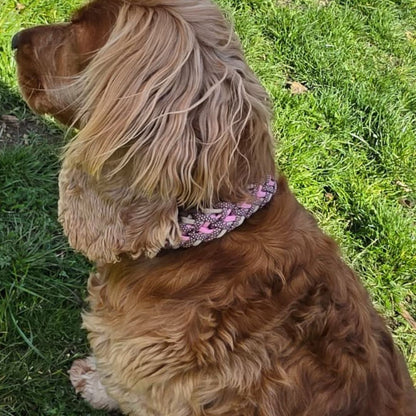 Handgemachtes Paracord-Hundehalsband "Spring Blush"