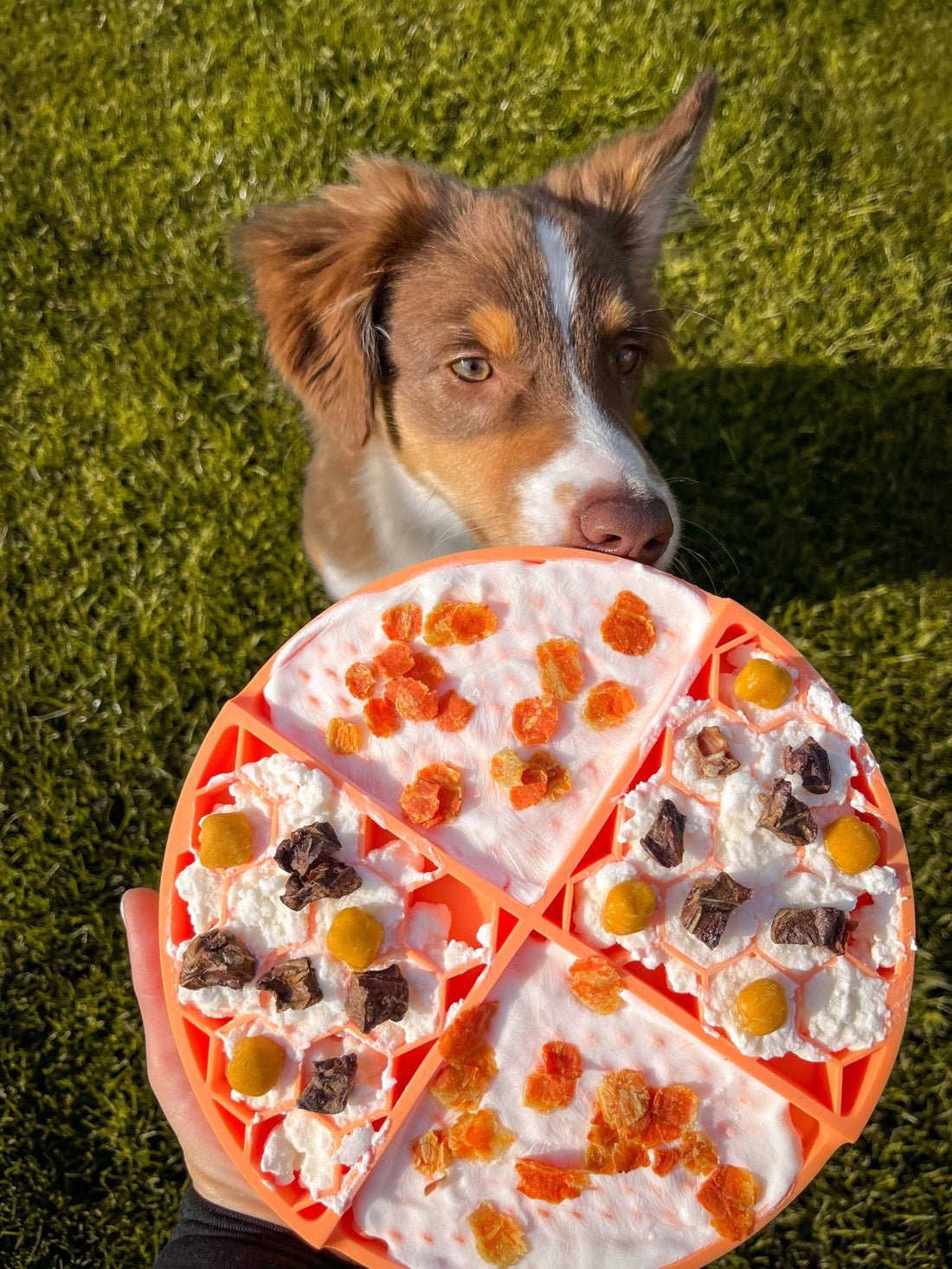 Schleckmatte Honey Hund, Slow Feeder, Futterstation - Pfotenlieblinge