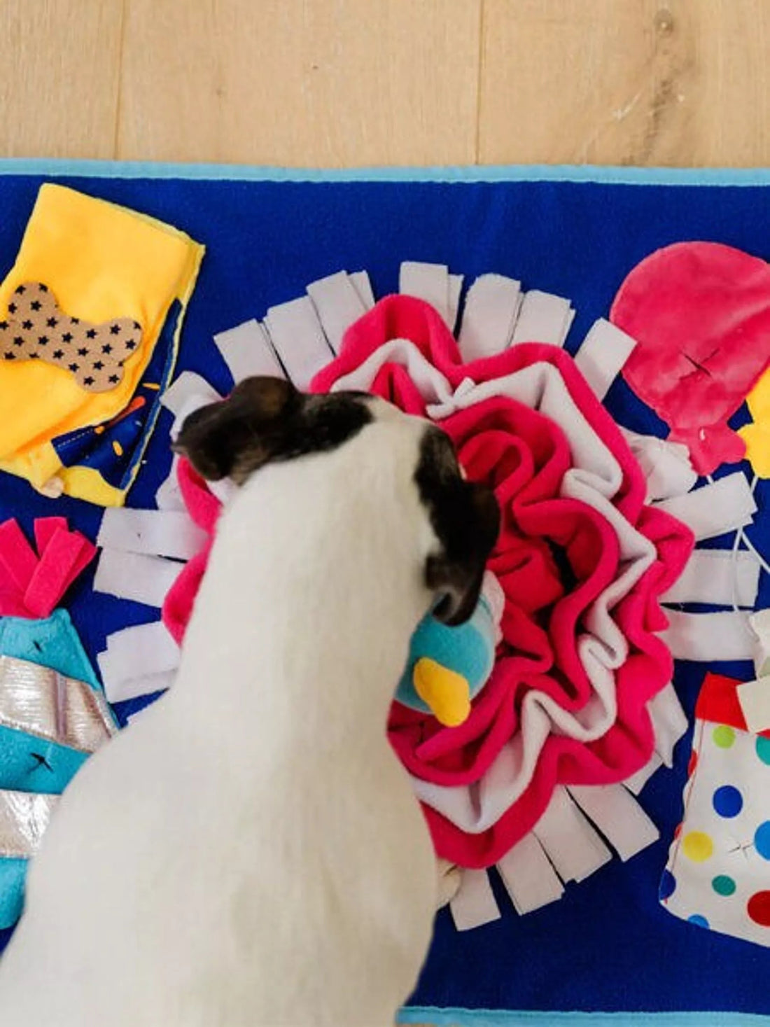 Schnüffelmatte Woof - Day – Die kunterbunte Feier für deine Fellnase - Pfotenlieblinge