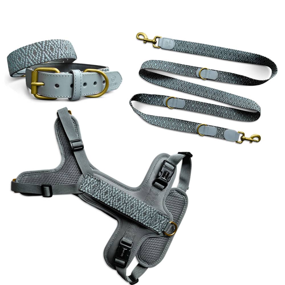 Set Hundehalsband, Leine und Geschirr – Anthrazit/Eisblau - Pfotenlieblinge