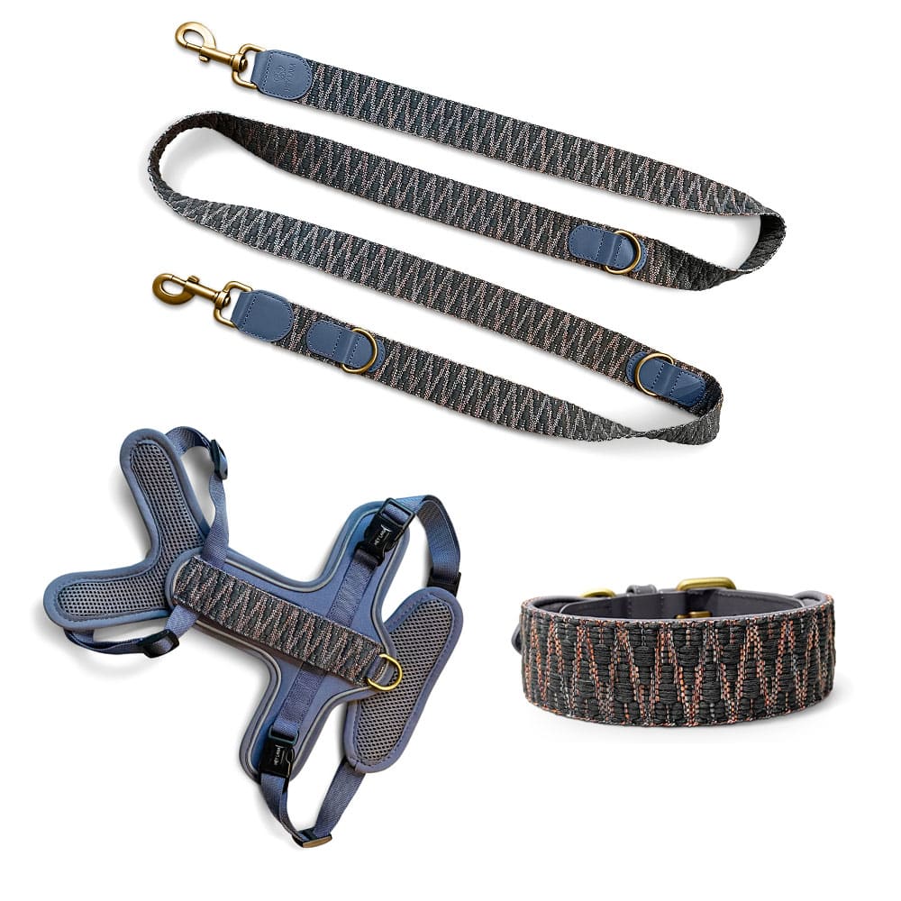 Set Hundehalsband, Leine und Geschirr - blau/grau - Pfotenlieblinge