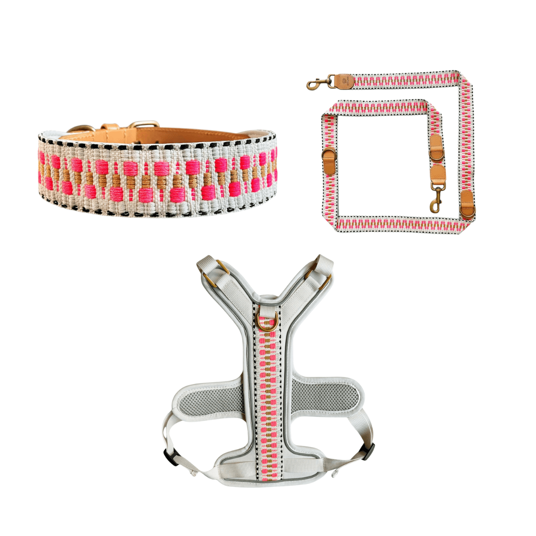 Set Hundehalsband, Leine und Geschirr – Pink/Beige - Pfotenlieblinge