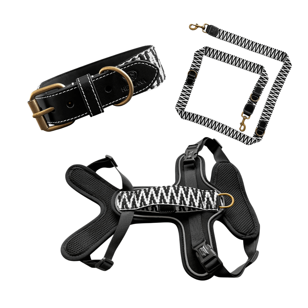 Set Hundehalsband, Leine und Geschirr - Schwarz/Weiß - Pfotenlieblinge