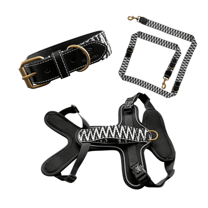 Set Hundehalsband, Leine und Geschirr - Schwarz/Weiß - Pfotenlieblinge