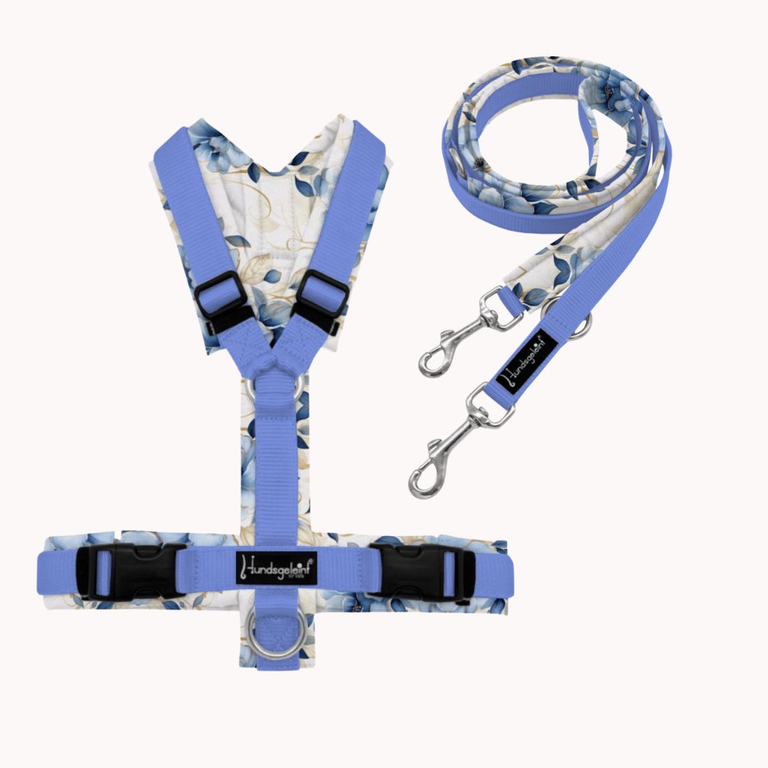Sparset: Icebloom Geschirr &amp; Soft Hundeleine – perfekt abgestimmt