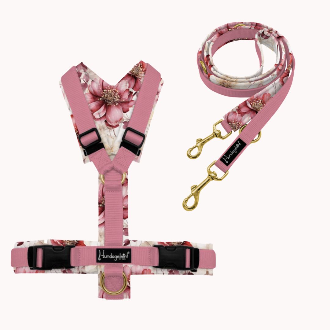 Sparset: Wildbloom Geschirr &amp; Soft Hundeleine – perfekt abgestimmt