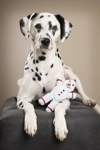 Shawn der Schneemann – Kult - Spielzeug aus Baumwolltau - Pfotenlieblinge