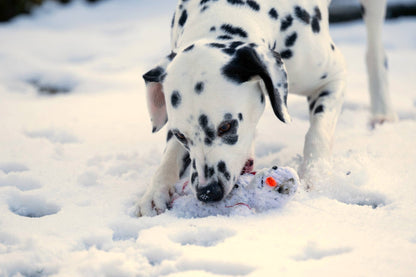 Shawn der Schneemann – Kult - Spielzeug aus Baumwolltau - Pfotenlieblinge