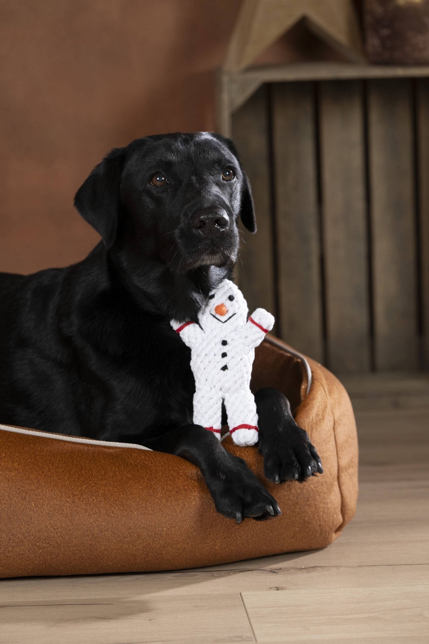 Shawn der Schneemann – Kult - Spielzeug aus Baumwolltau - Pfotenlieblinge