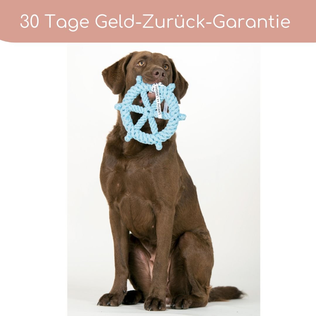 Skipper - Kult - Spielzeug für Hunde - Pfotenlieblinge