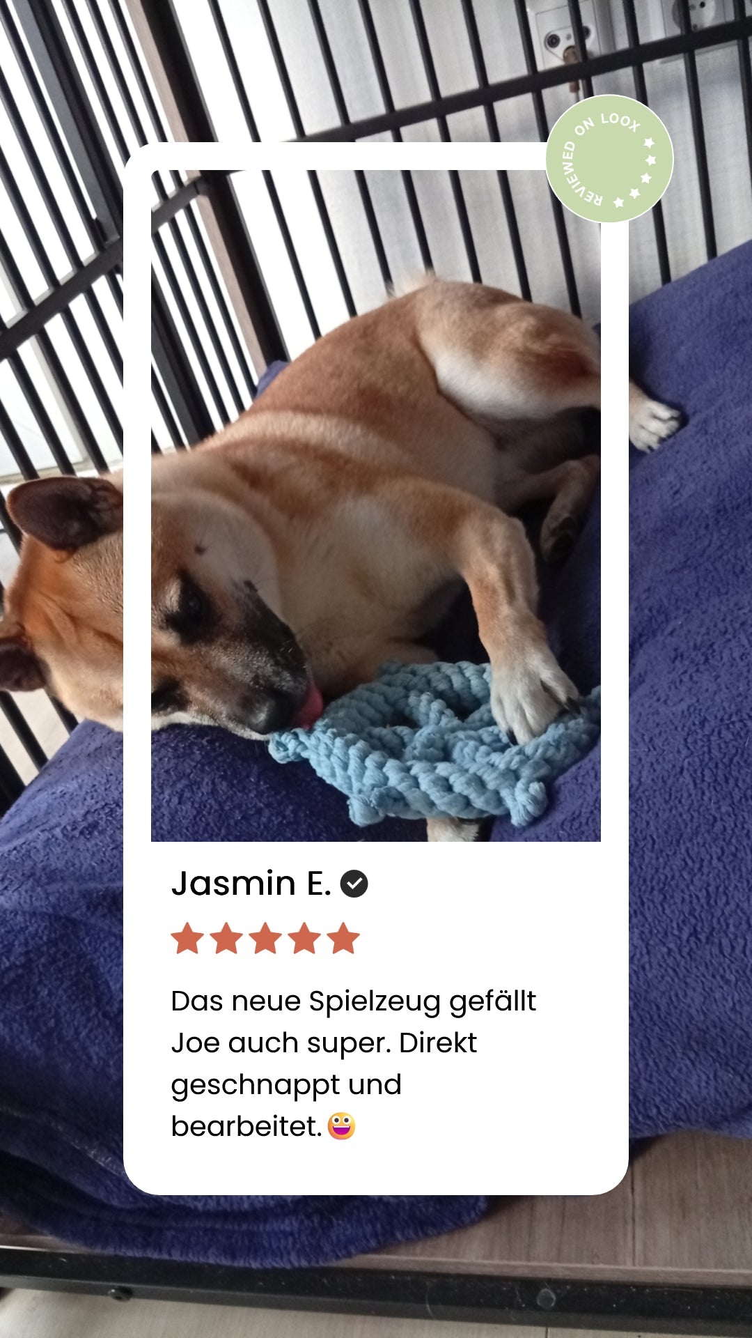 Skipper - Kult - Spielzeug für Hunde - Pfotenlieblinge