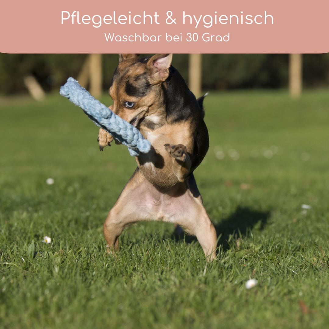 Skipper - Kult - Spielzeug für Hunde - Pfotenlieblinge