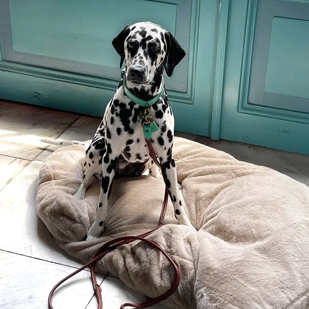 Snoozy Hundekissen – Weiches Schaffell - Design für traumhaften Komfort - Pfotenlieblinge