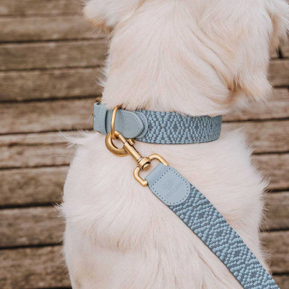 Sparset: Halsband &amp; Leine in Anthrazit/Eisblau - Pfotenlieblinge