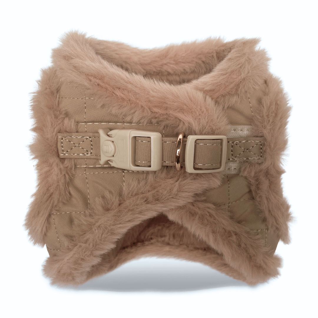 Step - In Geschirr mit Teddy - Plüsch - Pfotenlieblinge