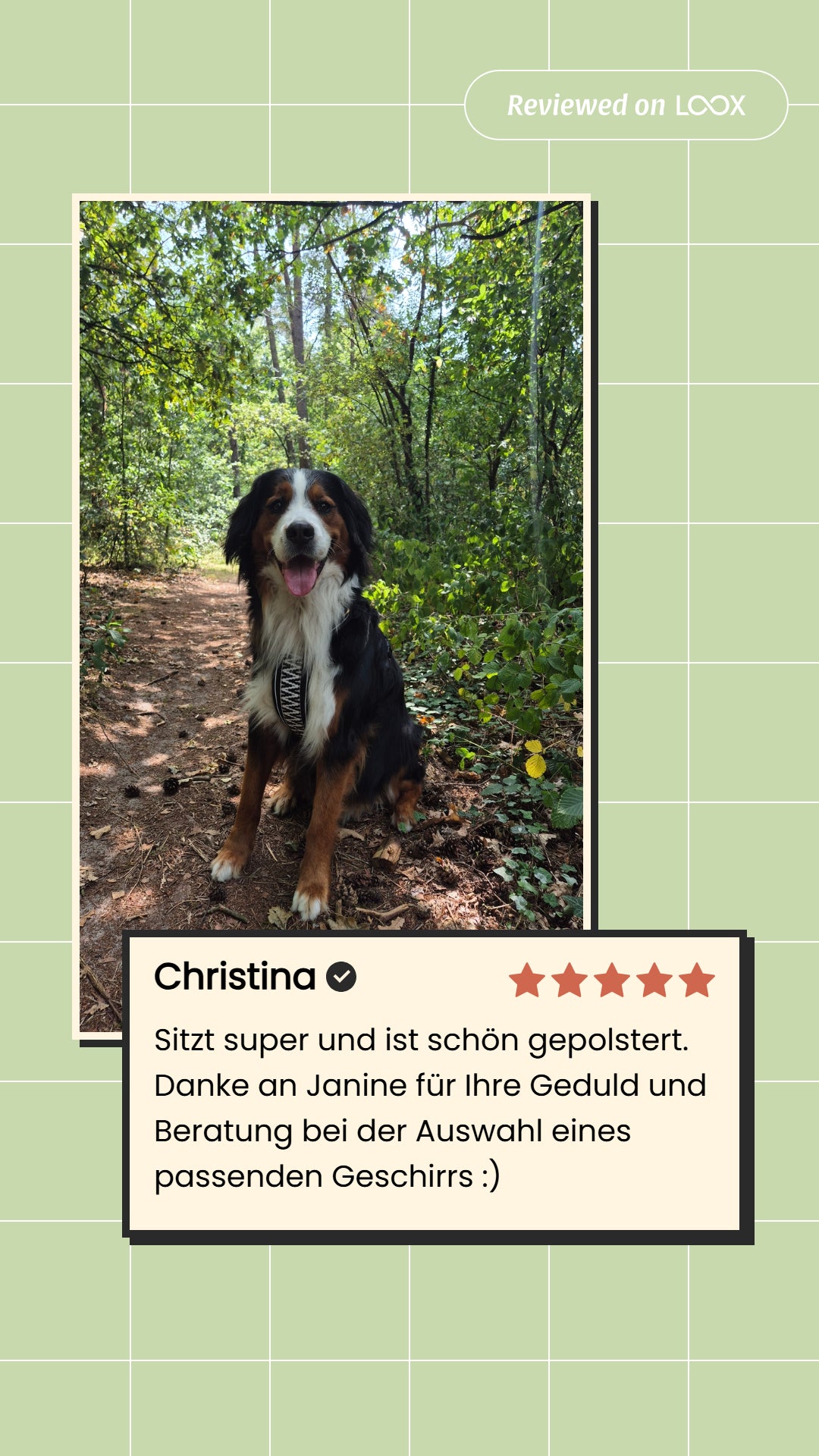 Stilvolles Hundegeschirr – Très Chic – Schwarz/Weiß von HeyLana - Pfotenlieblinge