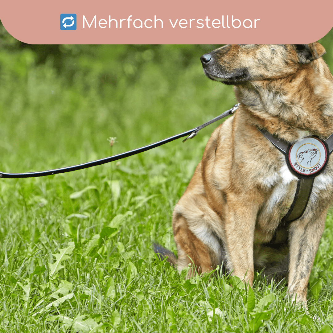 StyleSnout® Führleine Silver - Black – gepolstert, reflektierend &amp; mehrfach verstellbar - Pfotenlieblinge
