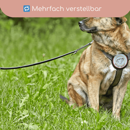 StyleSnout® Führleine Silver - Black – gepolstert, reflektierend &amp; mehrfach verstellbar - Pfotenlieblinge