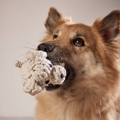 Tapsi – Handgefertigtes Hundespielzeug aus Baumwolltau - Pfotenlieblinge