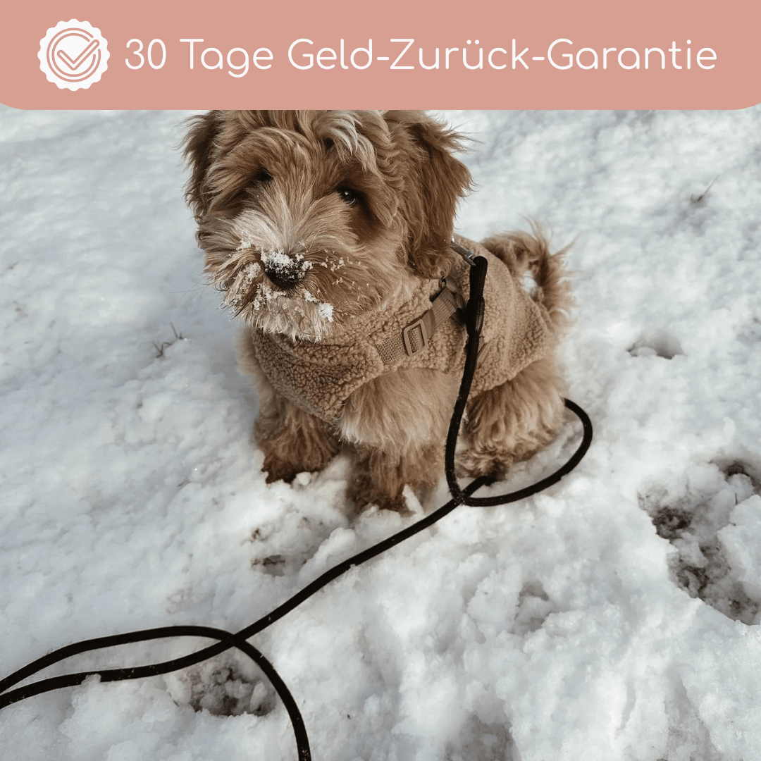 Teddyfleece - Hundemantel mit integriertem Geschir - Pfotenlieblinge