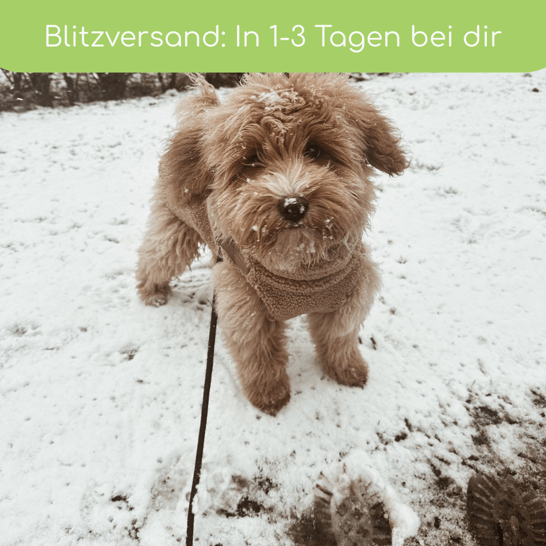 Teddyfleece - Hundemantel mit integriertem Geschir - Pfotenlieblinge