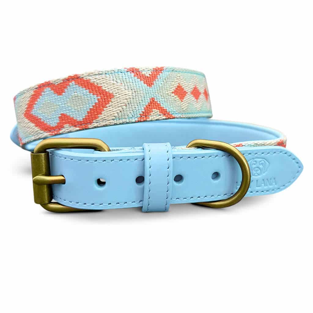 Premium Hundehalsband gepolstert Coral/Blau - Pfotenlieblinge