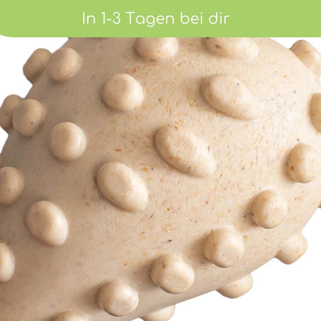 BetterBone Hundeknochen – nachhaltig &amp; zahnfreundlich