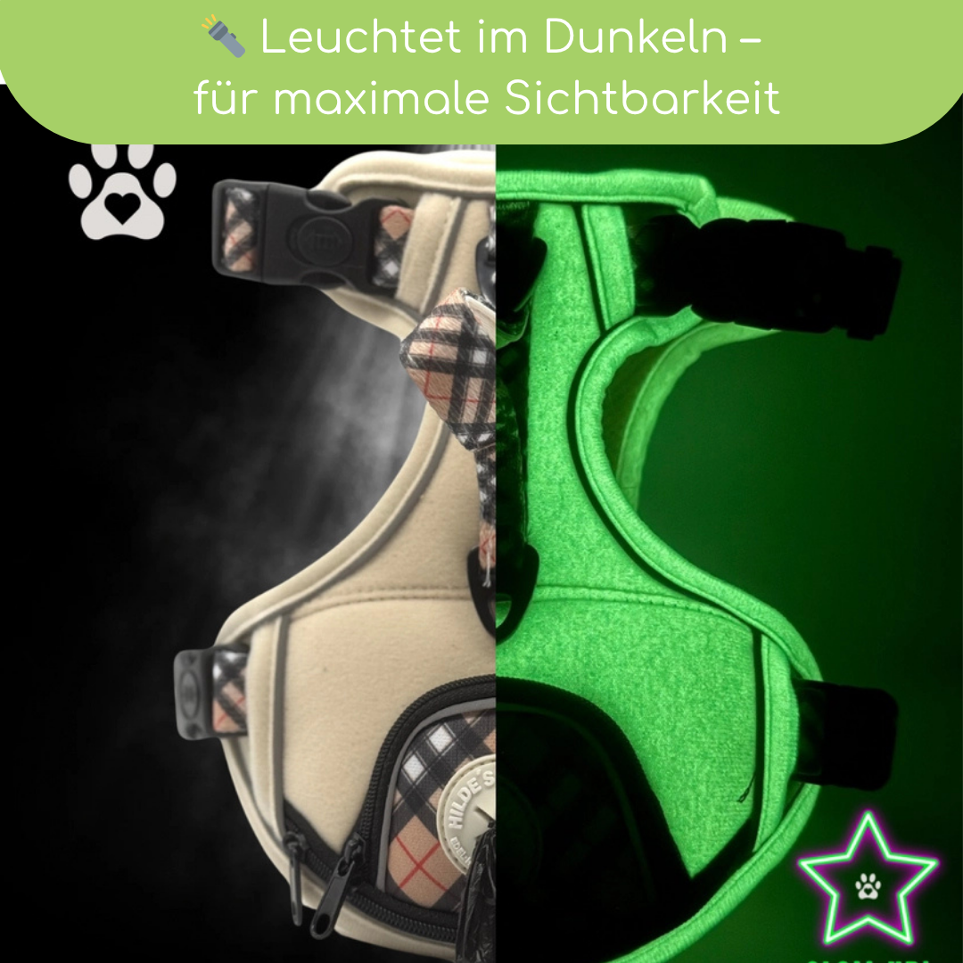 Leuchtendes Step-In Hundegeschirr