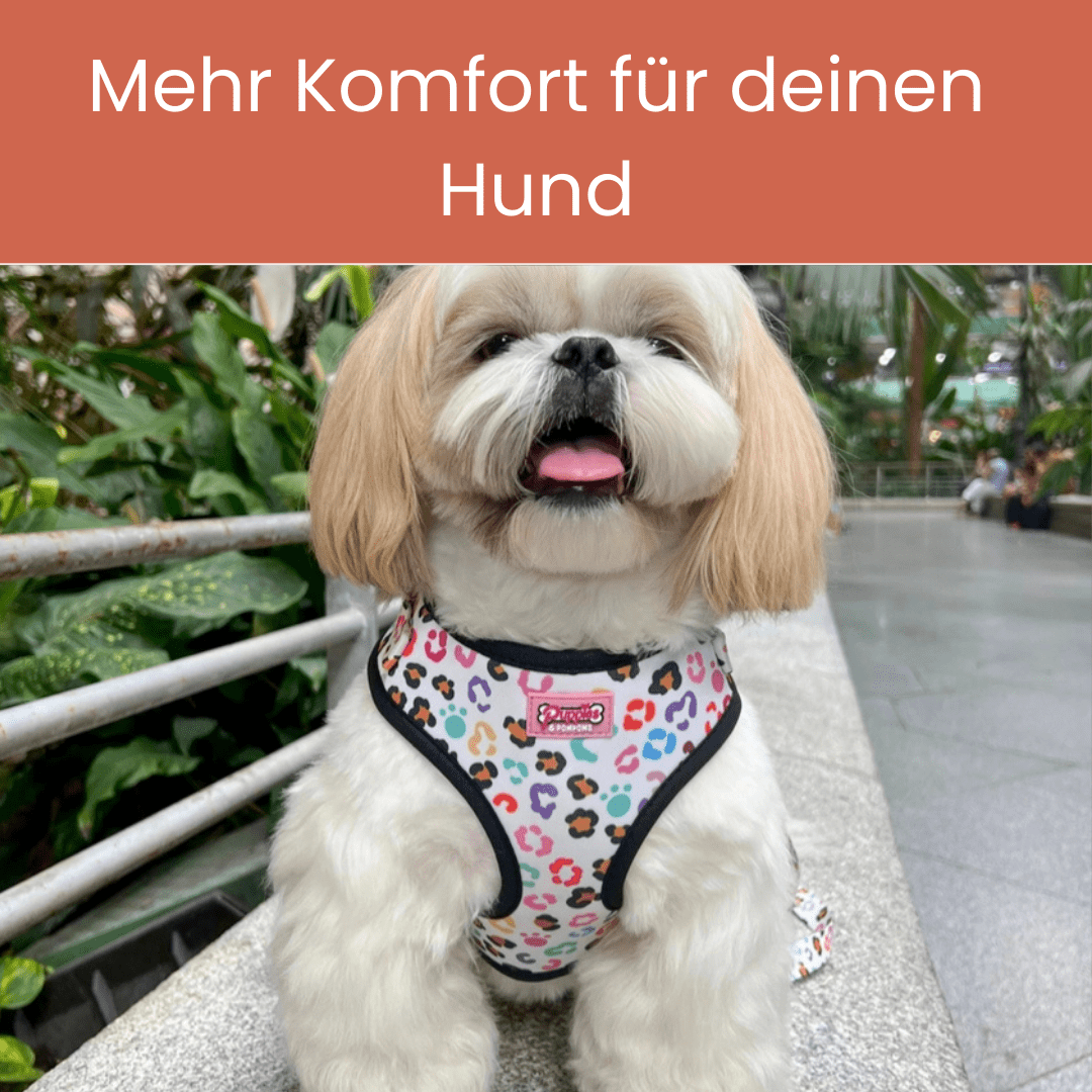 Verstellbares Hundegeschirr | Leicht, atmungsaktiv &amp; stylisch I Der Wilde - Pfotenlieblinge