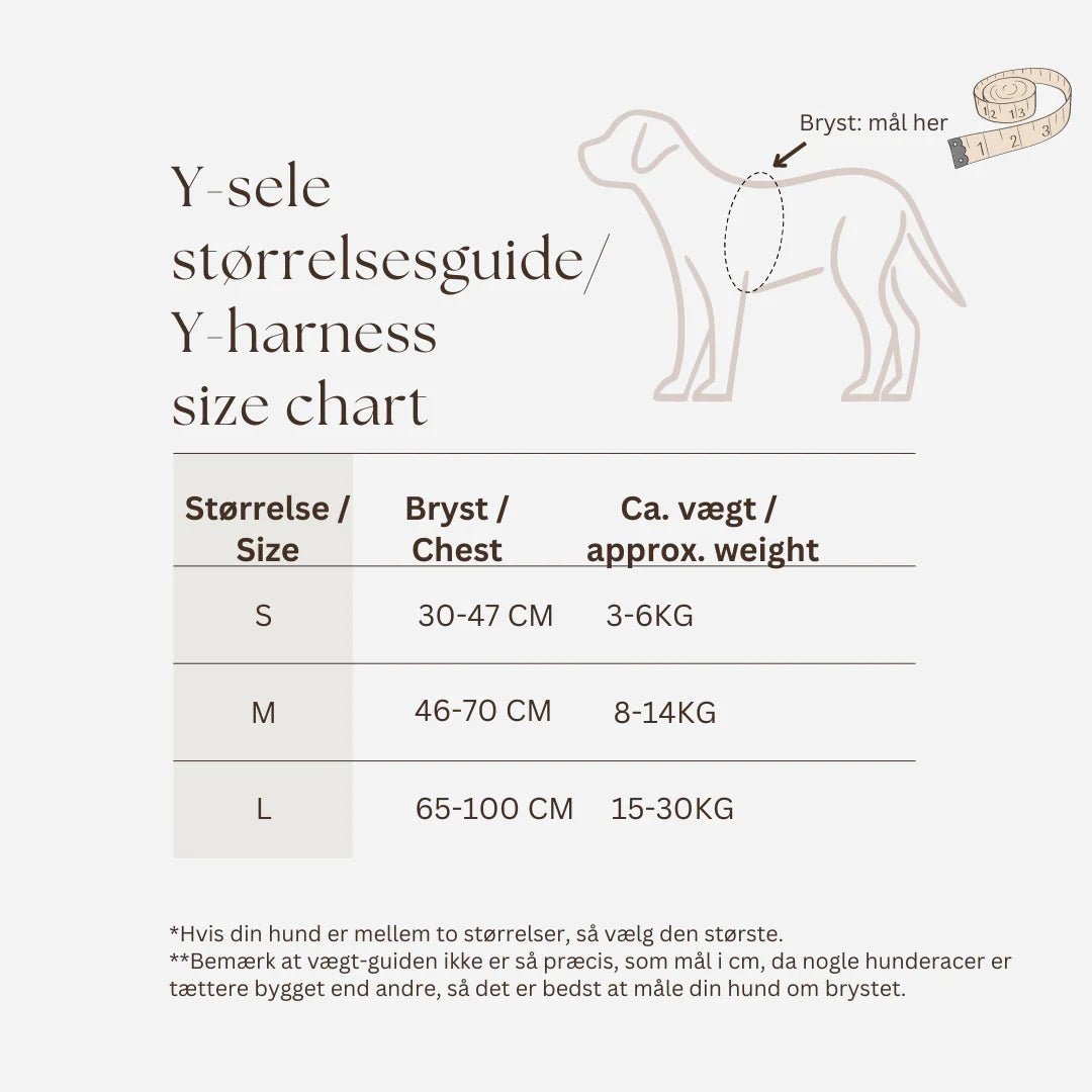 Ziggy Latte – leichtes Y - Geschirr für sensible Hunde - Pfotenlieblinge