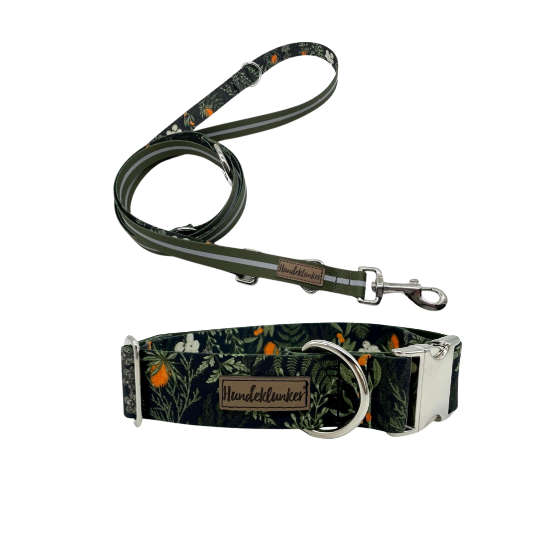 Forest Walkies Set – Nachhaltige Leine &amp; Halsband aus rPet &amp; Kaktusleder, handgemacht